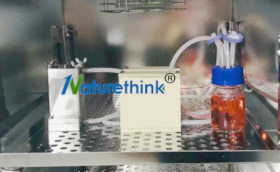 細(xì)胞恒切應(yīng)力流動態(tài)培養(yǎng)儀